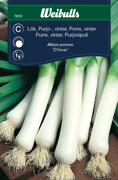 Purre vinter - Regius